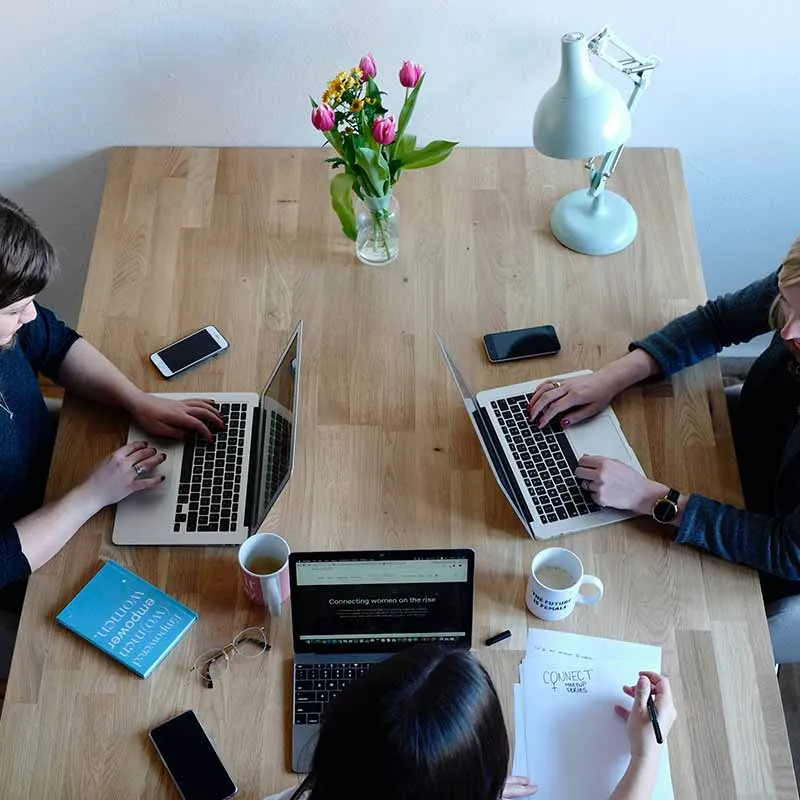 colleagues working together on their laptops