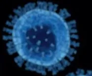 covid-19 virus