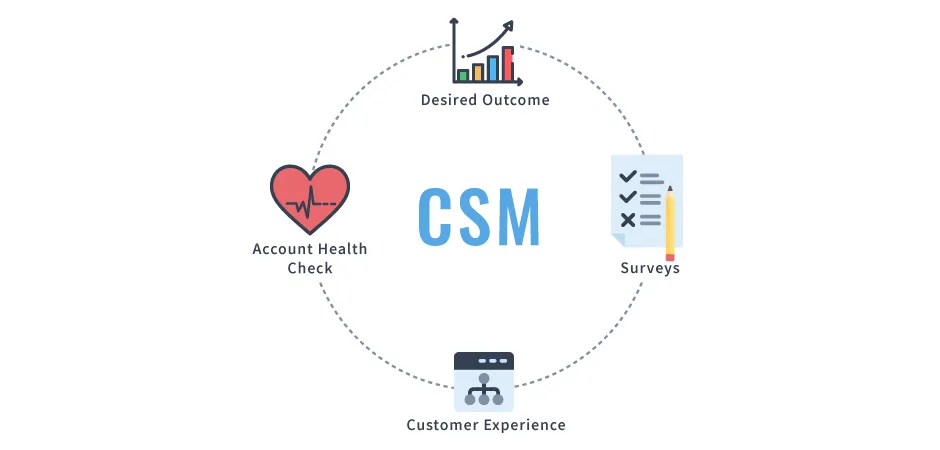 chart explaining different roles of csm