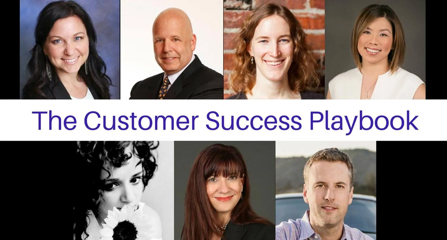 customer success playbook from Userlane