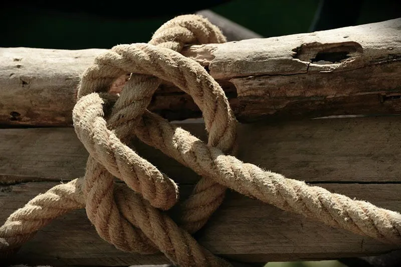 logs tied with a rope