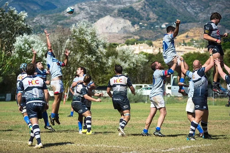 volleyball players as an example of team activity