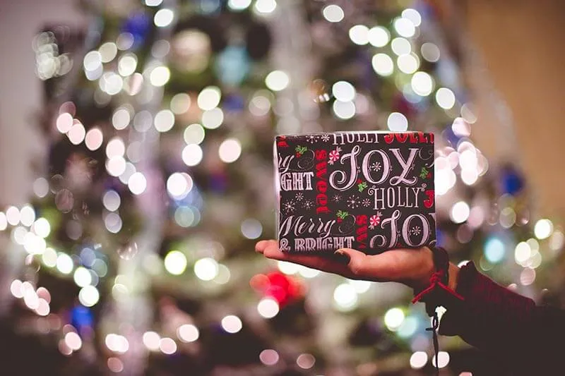 a gift bag in hands with bokeh in the background