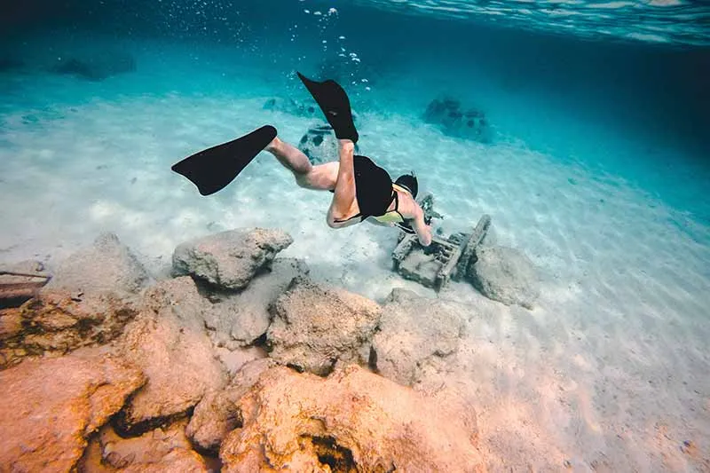 a scuba diver in an ocean