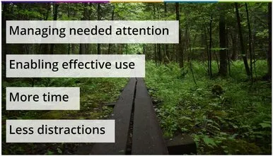 4 steps for achieving product-led growth shown on a background of a wooden walkway through nature