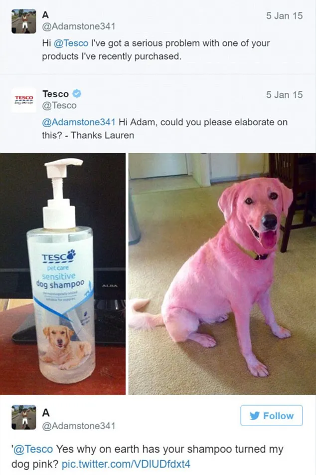 Adam and Tesco twitter conversation on pink dog